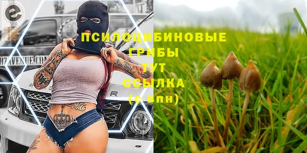 кокс Магас