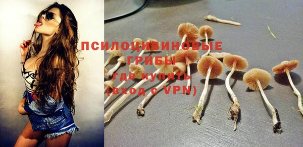 кокс Магас