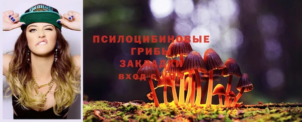 кокс Магас