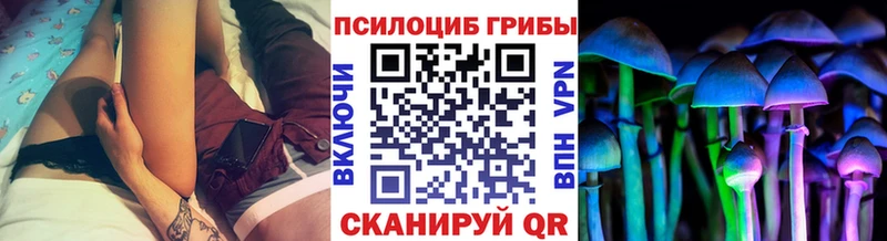 купить наркотик  Юрьевец  Галлюциногенные грибы Psilocybine cubensis 